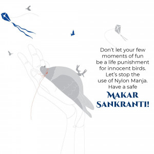 Makar Sankranti Wisehs Images, Poster and Status Free Download 116 16417921585204 Daily 6suketu MakarSankranti 10Jan square square Makar Sankranti